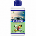 FLOWER GOLD